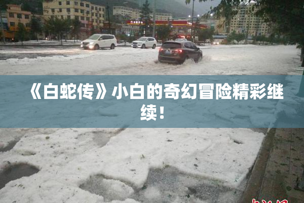 《白蛇传》小白的奇幻冒险精彩继续！