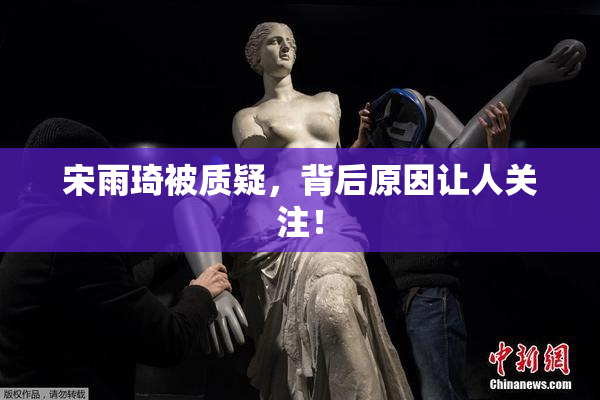 宋雨琦被质疑，背后原因让人关注！
