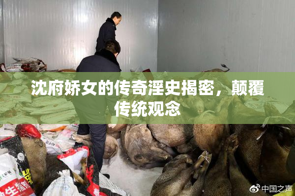 沈府娇女的传奇淫史揭密，颠覆传统观念