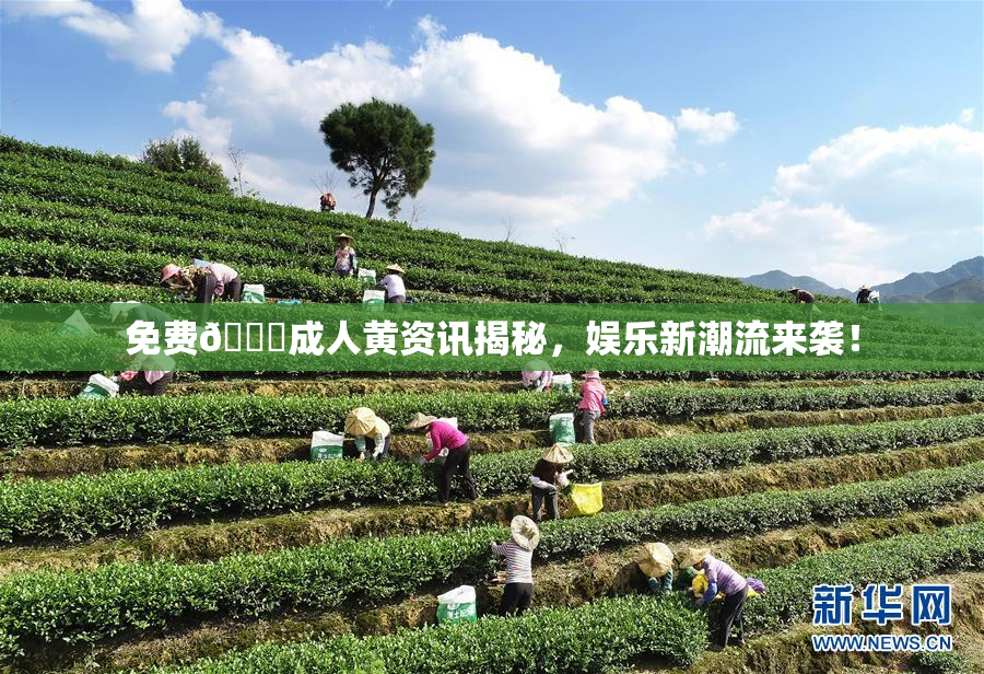 免费🔞成人黄资讯揭秘，娱乐新潮流来袭！