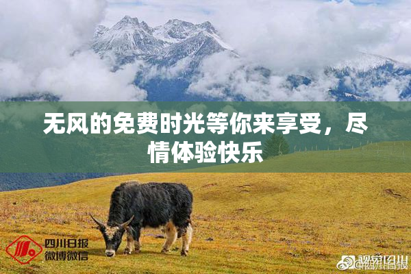 无风的免费时光等你来享受，尽情体验快乐