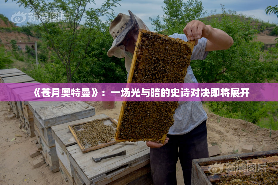 《苍月奥特曼》：一场光与暗的史诗对决即将展开