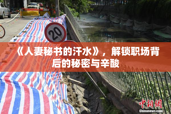 《人妻秘书的汗水》，解锁职场背后的秘密与辛酸