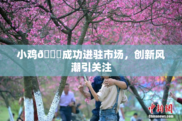 小鸡🐔成功进驻市场，创新风潮引关注