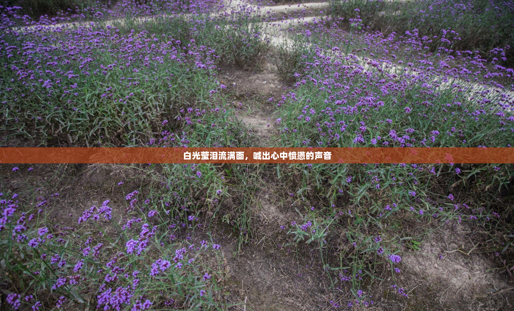 白光莹泪流满面，喊出心中愤懑的声音
