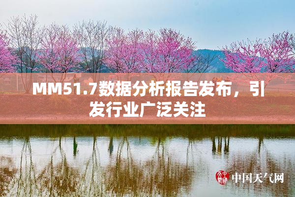MM51.7数据分析报告发布，引发行业广泛关注