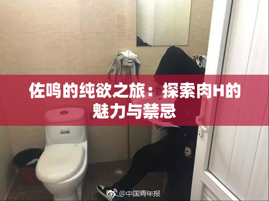 佐鸣的纯欲之旅：探索肉H的魅力与禁忌