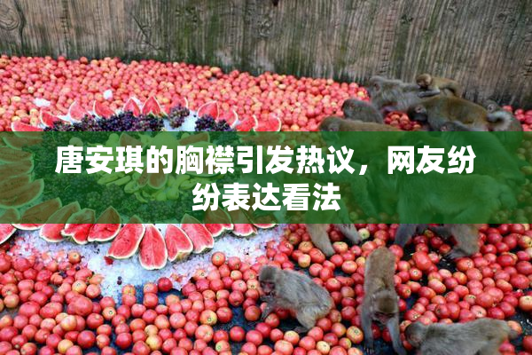 唐安琪的胸襟引发热议，网友纷纷表达看法