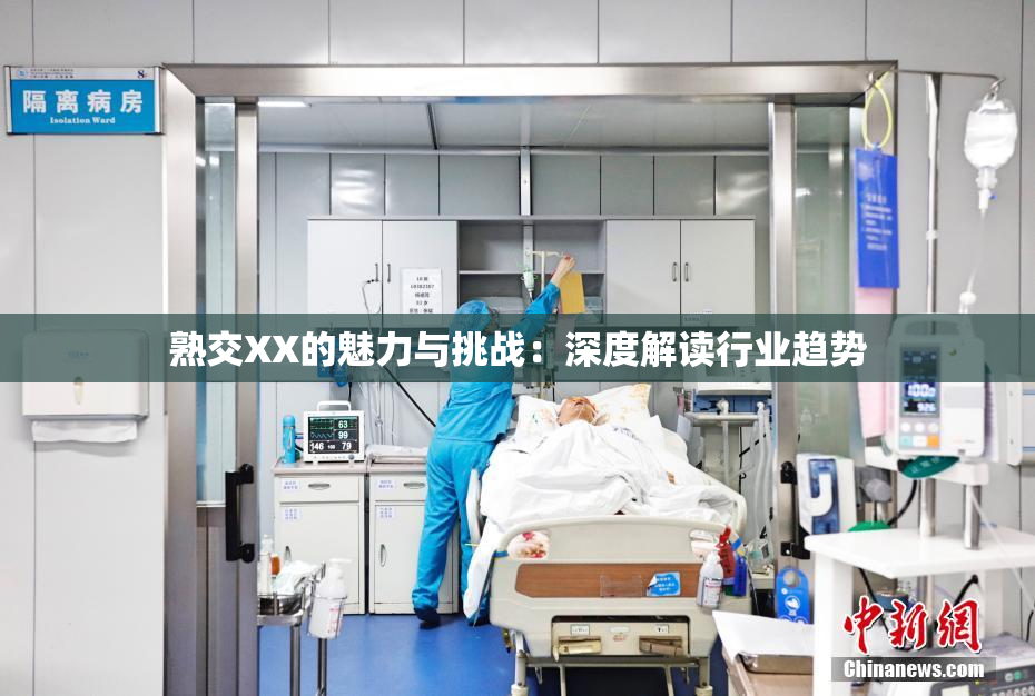 熟交XX的魅力与挑战：深度解读行业趋势