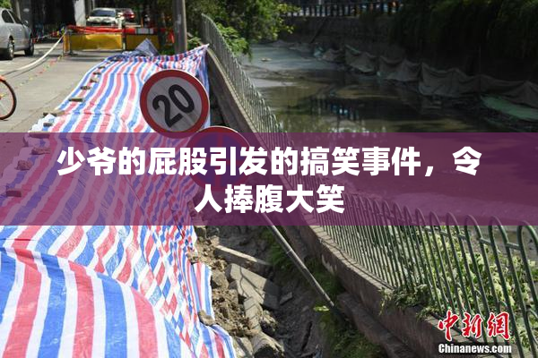 少爷的屁股引发的搞笑事件，令人捧腹大笑