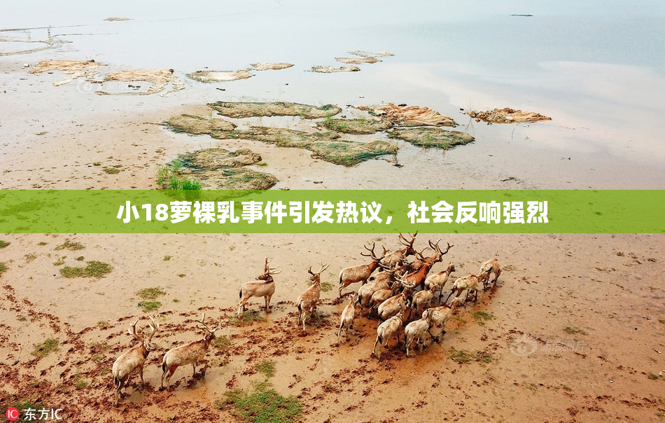 小18萝裸乳事件引发热议，社会反响强烈