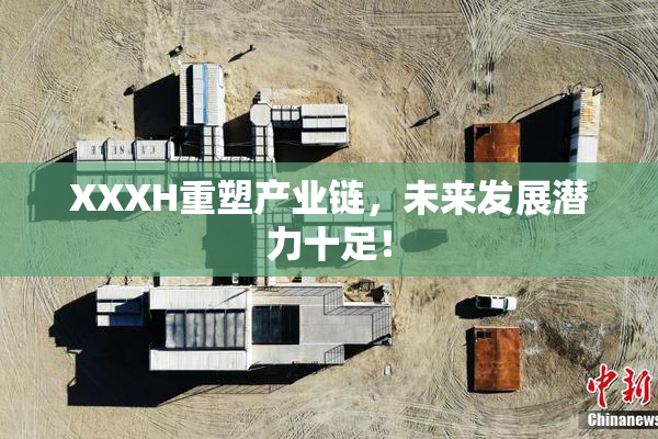 XXXH重塑产业链，未来发展潜力十足！