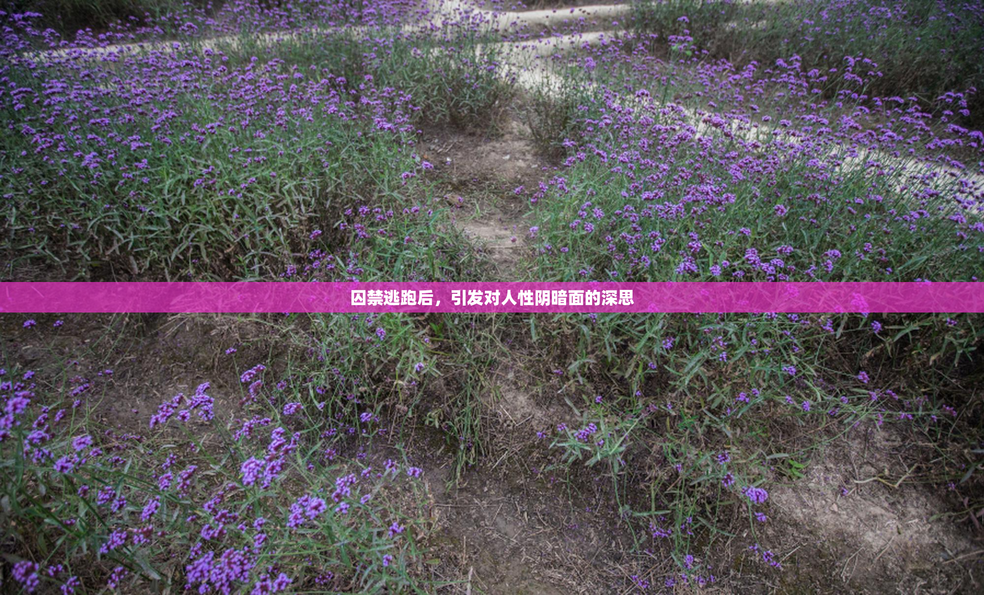 囚禁逃跑后，引发对人性阴暗面的深思