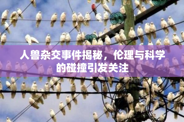 人兽杂交事件揭秘，伦理与科学的碰撞引发关注
