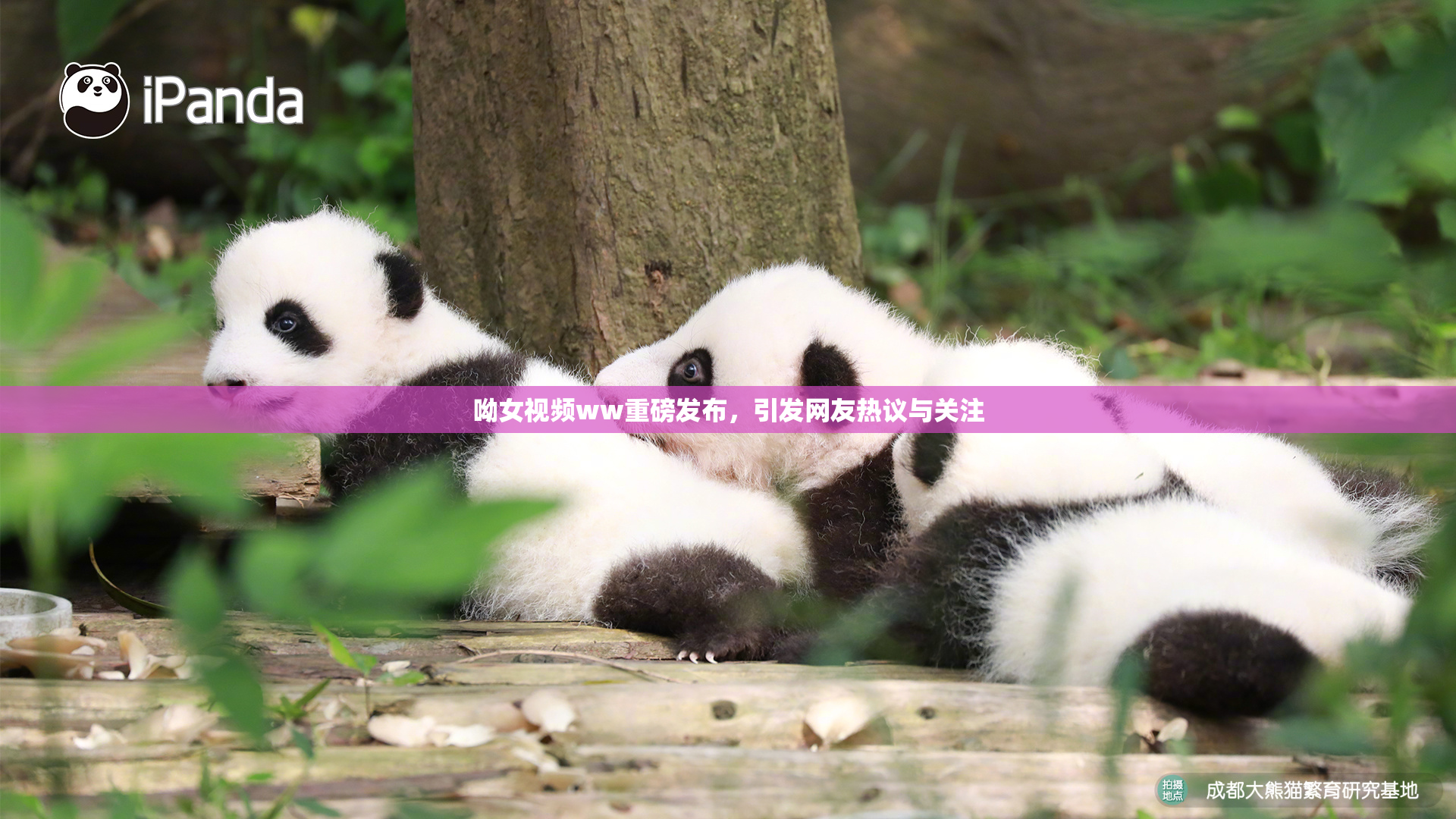 呦女视频ww重磅发布，引发网友热议与关注