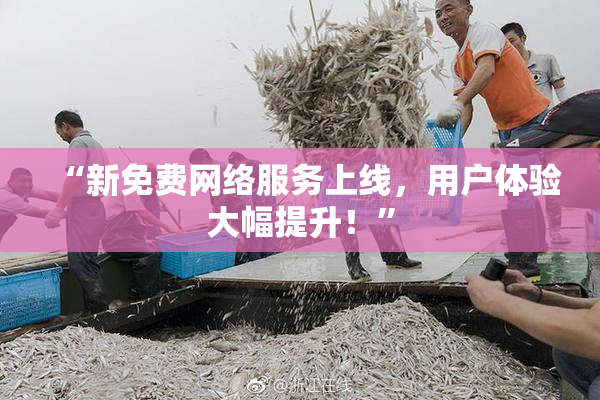 “新免费网络服务上线，用户体验大幅提升！”