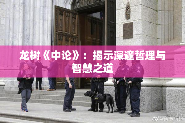 龙树《中论》：揭示深邃哲理与智慧之道