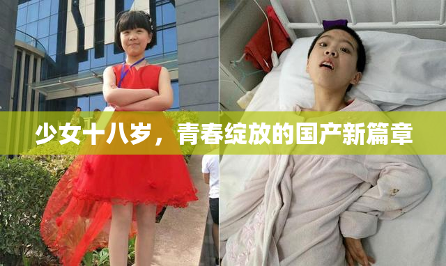 少女十八岁，青春绽放的国产新篇章