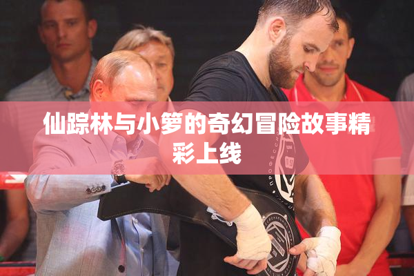 仙踪林与小箩的奇幻冒险故事精彩上线