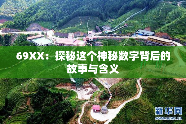 69ΧΧ：探秘这个神秘数字背后的故事与含义