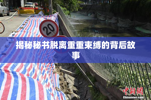 揭秘秘书脱离重重束缚的背后故事