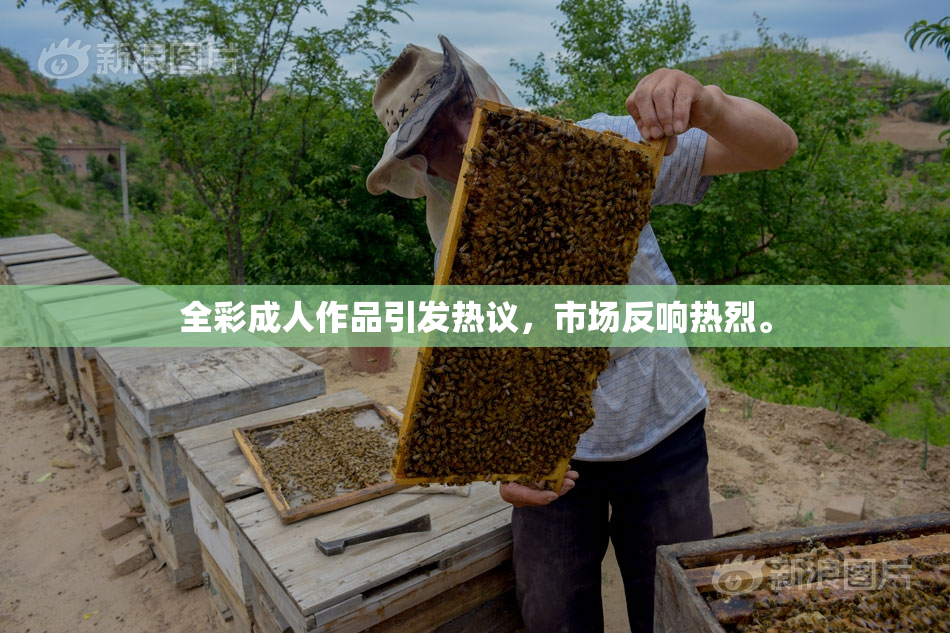 全彩成人作品引发热议，市场反响热烈。