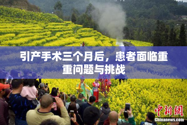 引产手术三个月后，患者面临重重问题与挑战