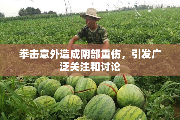 拳击意外造成阴部重伤，引发广泛关注和讨论