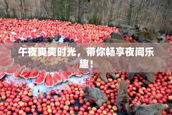 午夜爽爽时光，带你畅享夜间乐趣！