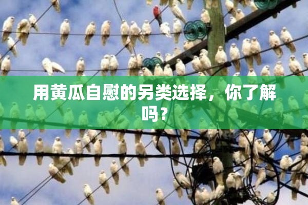用黄瓜自慰的另类选择，你了解吗？