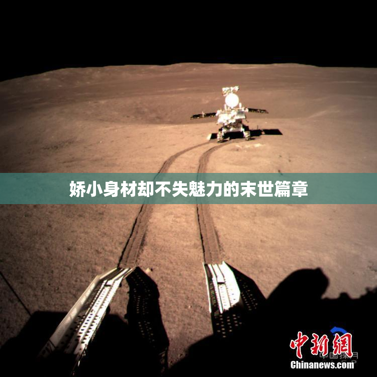 娇小身材却不失魅力的末世篇章