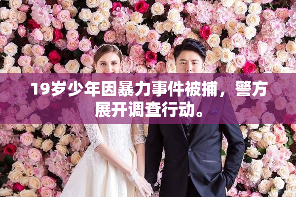 19岁少年因暴力事件被捕，警方展开调查行动。