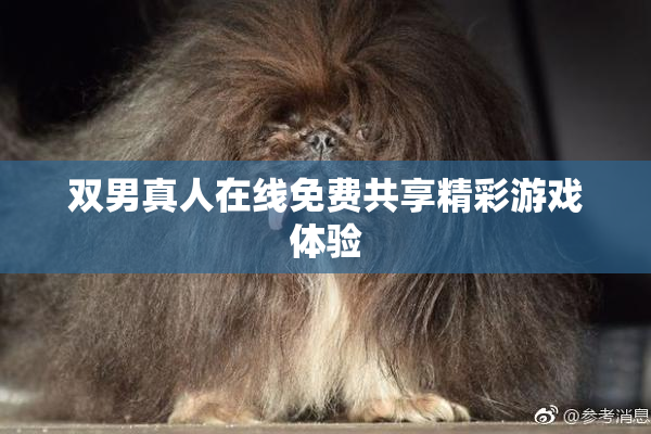 双男真人在线免费共享精彩游戏体验