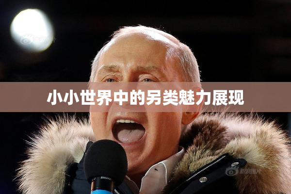 小小世界中的另类魅力展现