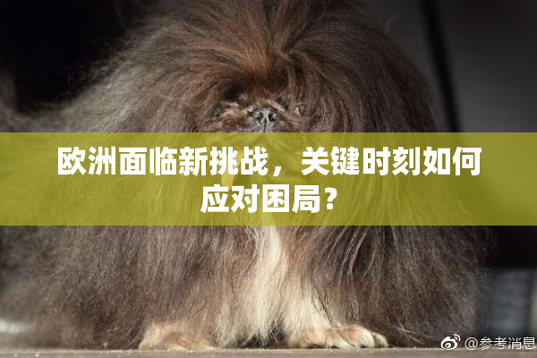 欧洲面临新挑战，关键时刻如何应对困局？