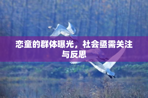 恋童的群体曝光，社会亟需关注与反思