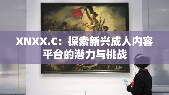 XNXX.C：探索新兴成人内容平台的潜力与挑战