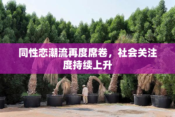 同性恋潮流再度席卷，社会关注度持续上升