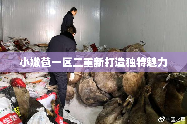 小嫩苞一区二重新打造独特魅力