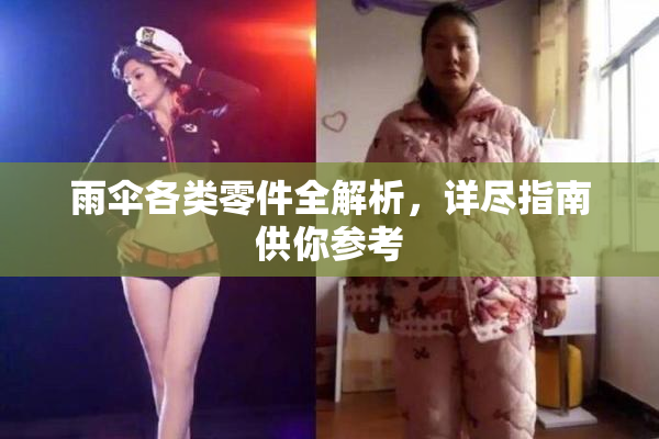 雨伞各类零件全解析，详尽指南供你参考