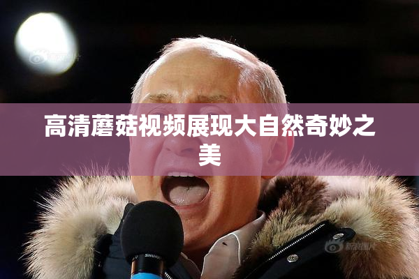 高清蘑菇视频展现大自然奇妙之美