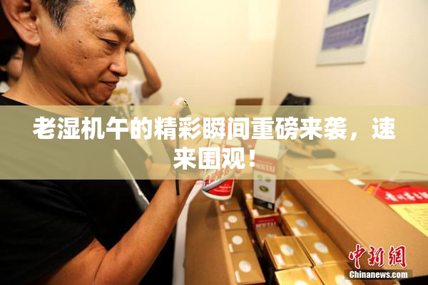 老湿机午的精彩瞬间重磅来袭，速来围观！
