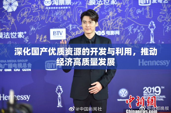 深化国产优质资源的开发与利用，推动经济高质量发展