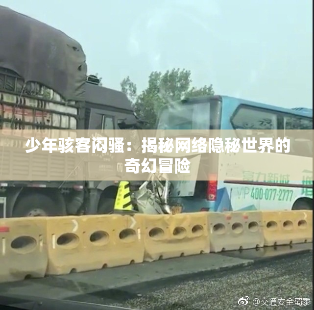 少年骇客闷骚：揭秘网络隐秘世界的奇幻冒险