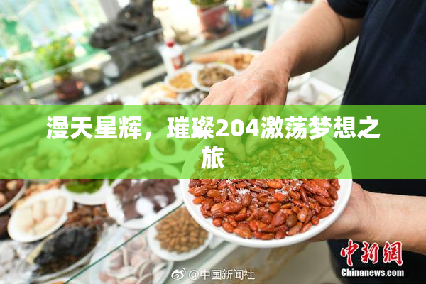 漫天星辉，璀璨204激荡梦想之旅