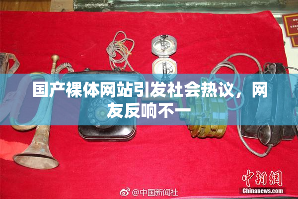 国产裸体网站引发社会热议，网友反响不一