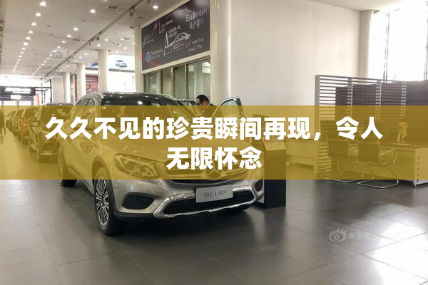 久久不见的珍贵瞬间再现，令人无限怀念