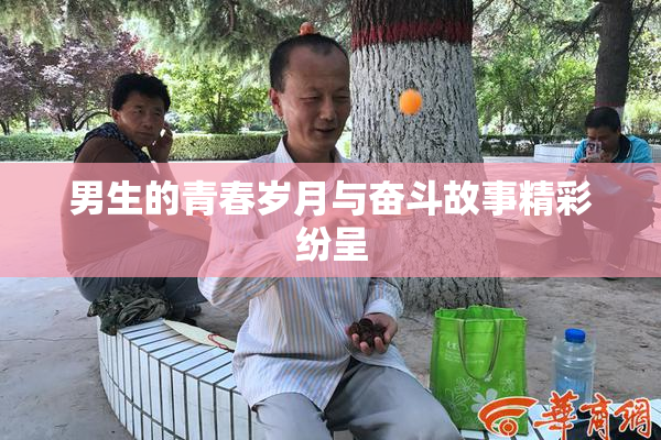 男生的青春岁月与奋斗故事精彩纷呈