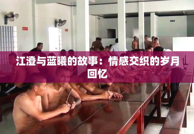 江澄与蓝曦的故事：情感交织的岁月回忆
