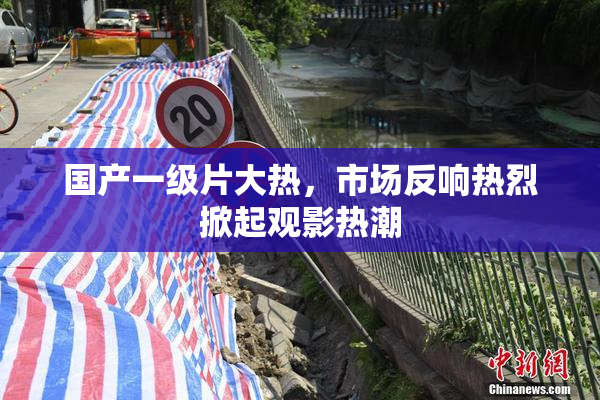 国产一级片大热，市场反响热烈掀起观影热潮
